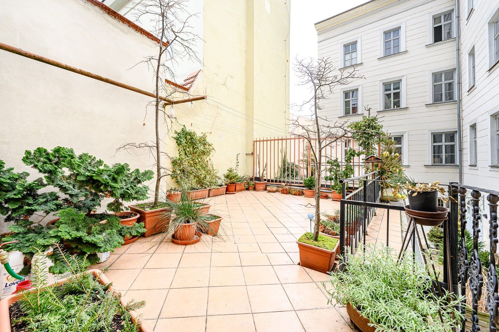 Pronájem bytu 2+1 50 m², Haštalská, Praha, Praha Pronájem bytu 2+1 50 m², Haštalská, Praha, Praha