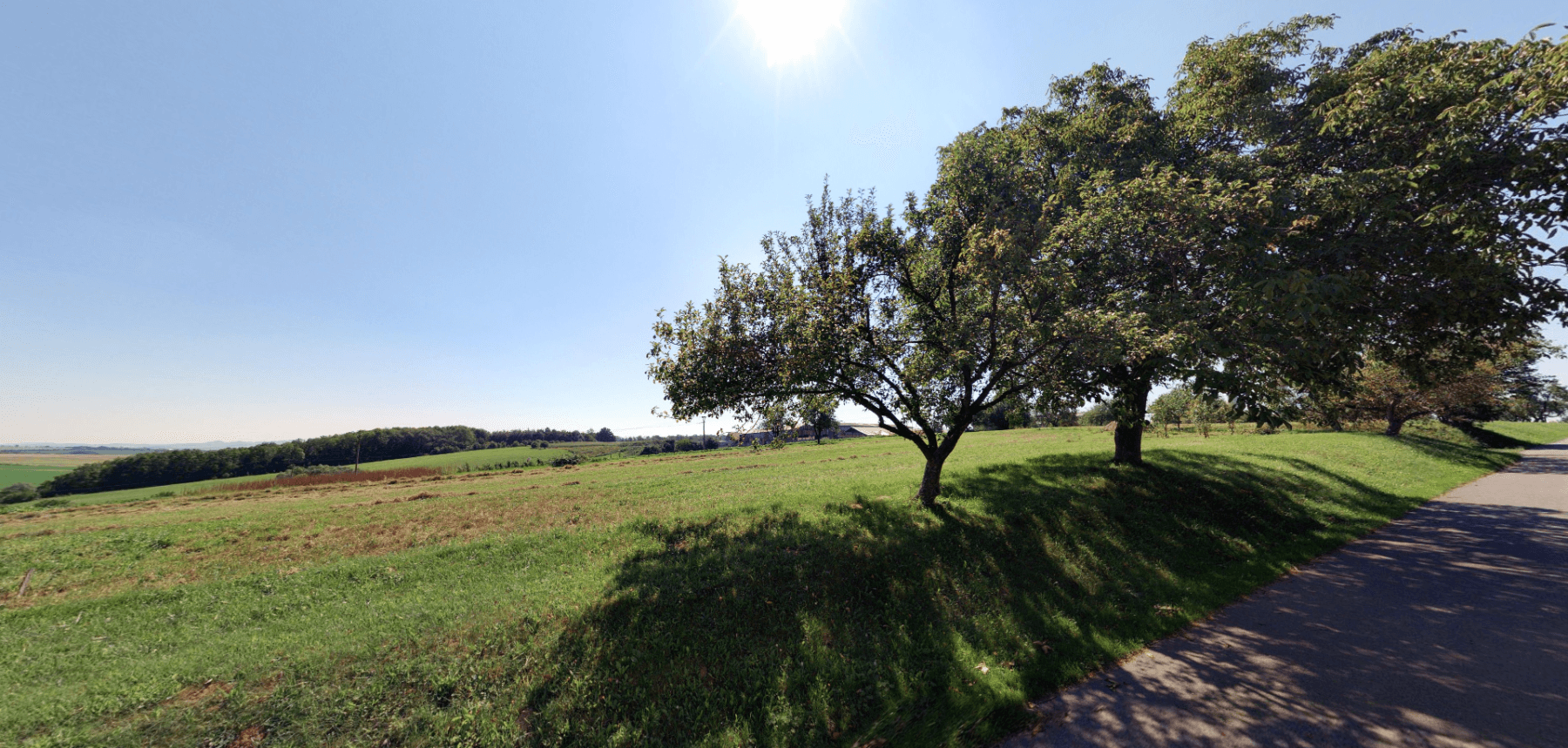 Prodej pozemku 14.429 m², Pavlovice u Přerova, Olomoucký kraj Prodej pozemku 14.429 m², Pavlovice u Přerova, Olomoucký kraj