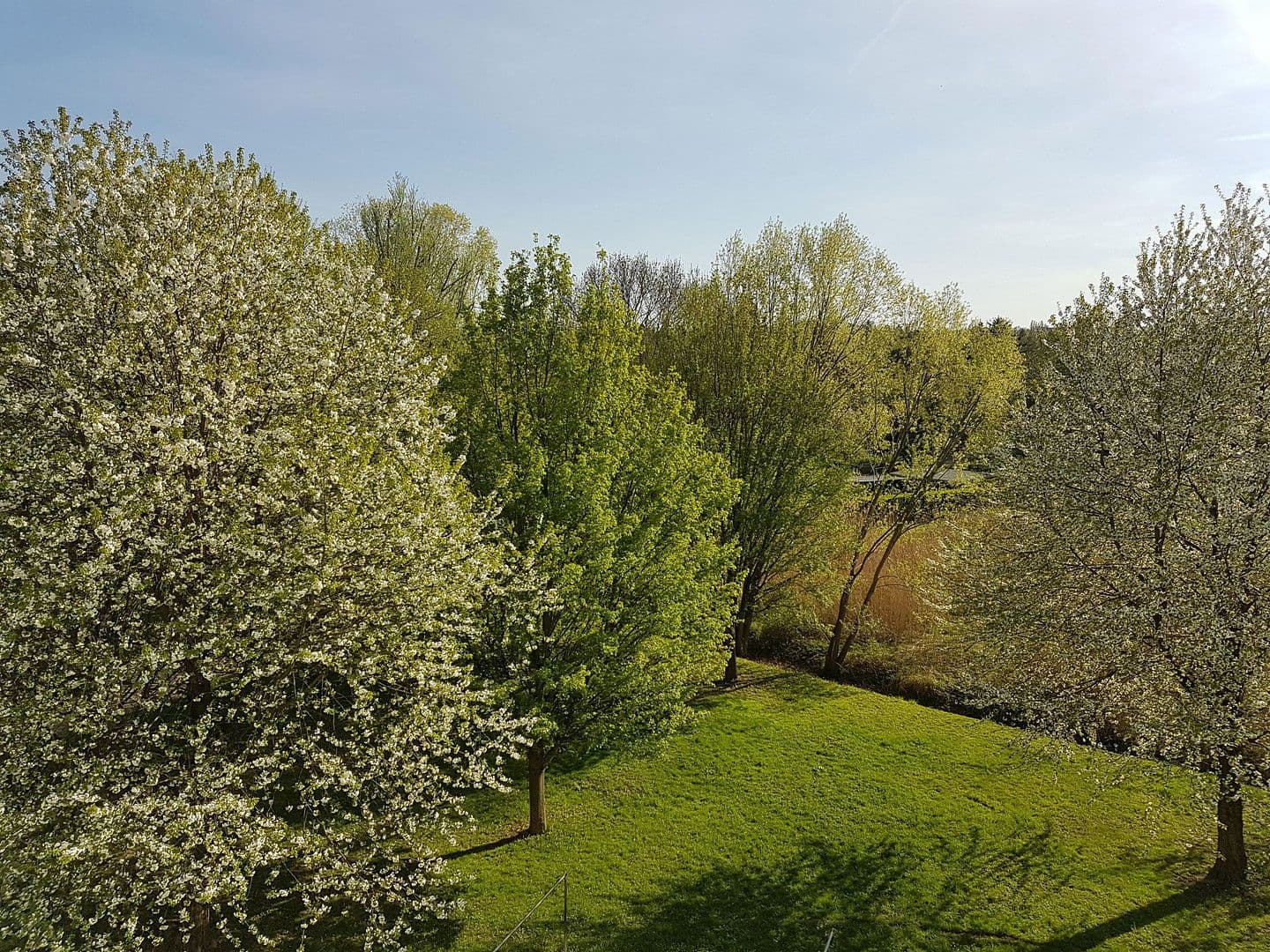 Prodej bytu 3+1 64 m², Otto - Dix - Ring 38, Dresden, Sasko Prodej bytu 3+1 64 m², Otto - Dix - Ring 38, Dresden, Sasko