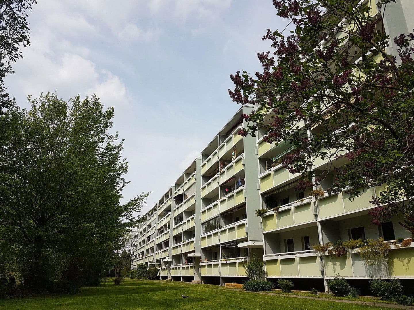 Prodej bytu 3+1 64 m², Otto - Dix - Ring 38, Dresden, Sasko Prodej bytu 3+1 64 m², Otto - Dix - Ring 38, Dresden, Sasko