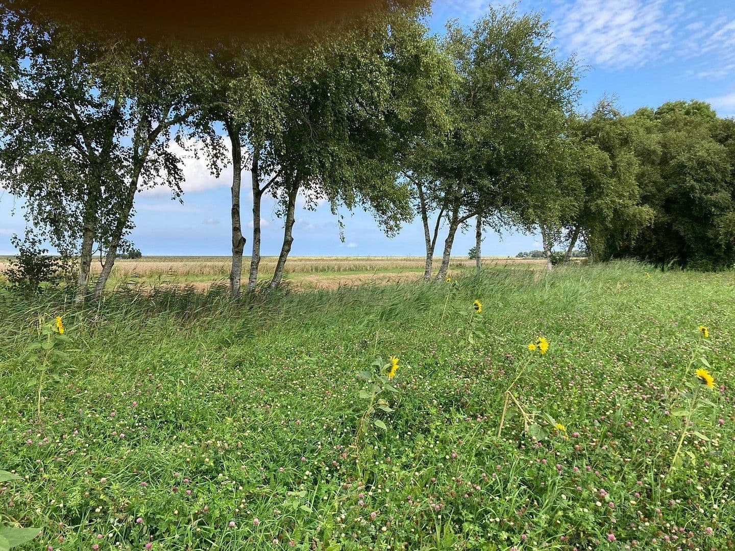 Prodej pozemku 700 m², Ondelweg 1, Dornum, Dolní Sasko Prodej pozemku 700 m², Ondelweg 1, Dornum, Dolní Sasko