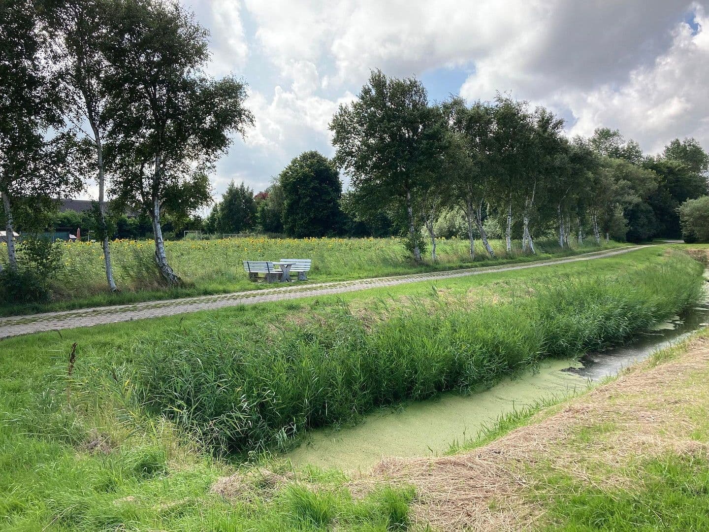 Prodej pozemku 700 m², Ondelweg 1, Dornum, Dolní Sasko Prodej pozemku 700 m², Ondelweg 1, Dornum, Dolní Sasko