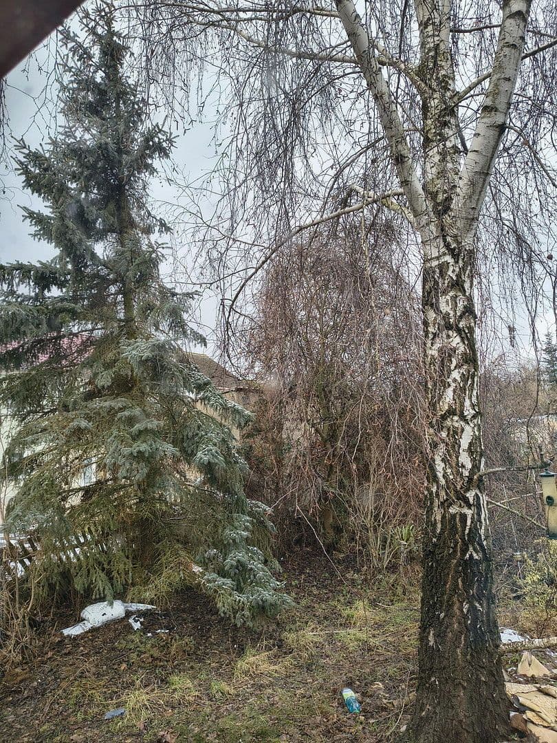 Prodej domu 130 m², pozemek 563 m², Friesack, Braniborsko Prodej domu 130 m², pozemek 563 m², Friesack, Braniborsko