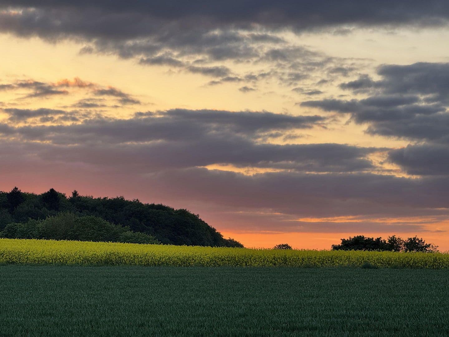 Pronájem bytu 4+1 94 m², Feldbergblick 26, Waldems, Hessen Pronájem bytu 4+1 94 m², Feldbergblick 26, Waldems, Hessen