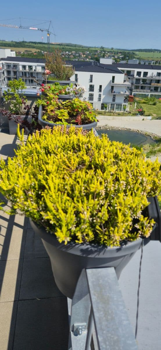 Prodej bytu 4+kk 155 m², T. G. Masaryka, Horoměřice, Středočeský kraj Prodej bytu 4+kk 155 m², T. G. Masaryka, Horoměřice, Středočeský kraj