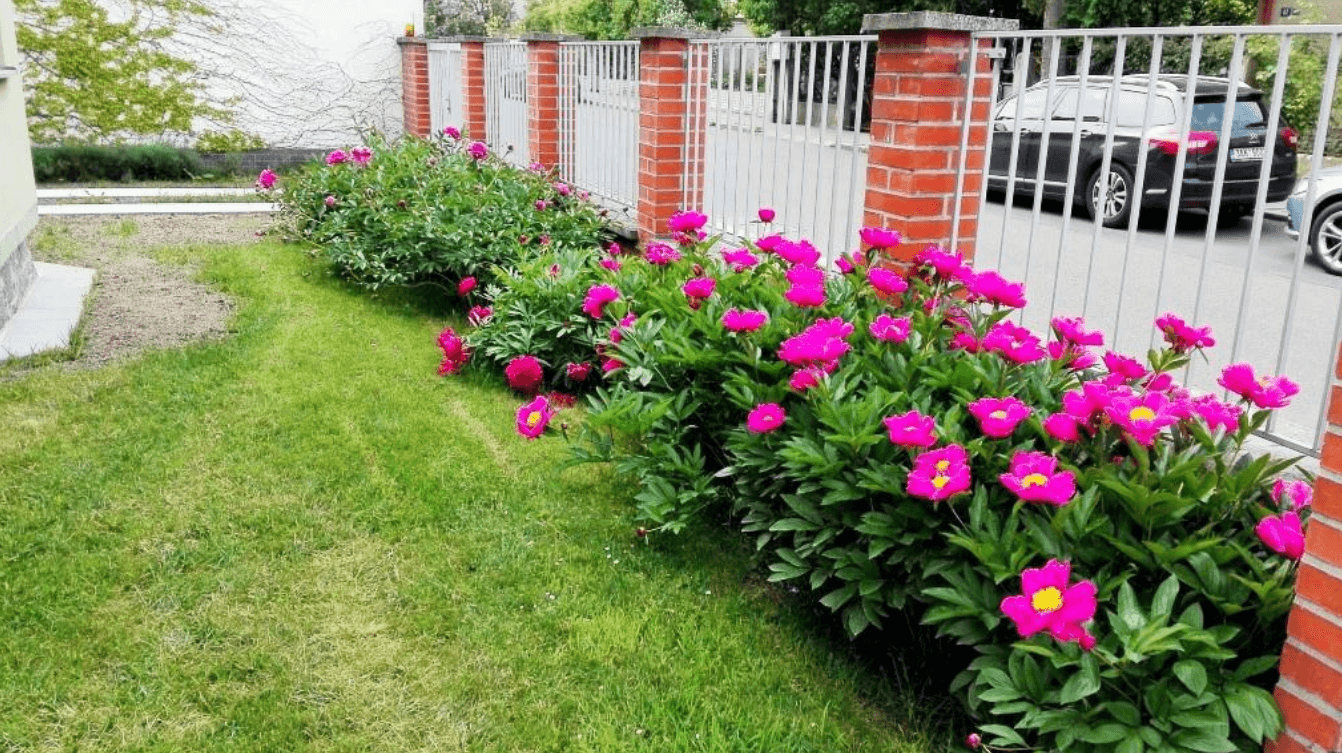 Pronájem bytu 6+1 129 m², Medkova, Praha, Praha Pronájem bytu 6+1 129 m², Medkova, Praha, Praha