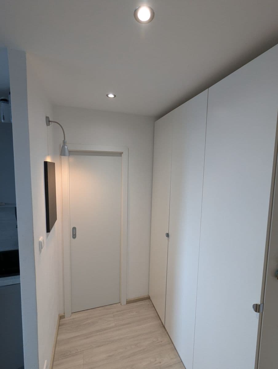 Pronájem bytu 1+kk 37 m², Tajovského, Praha, Praha Pronájem bytu 1+kk 37 m², Tajovského, Praha, Praha