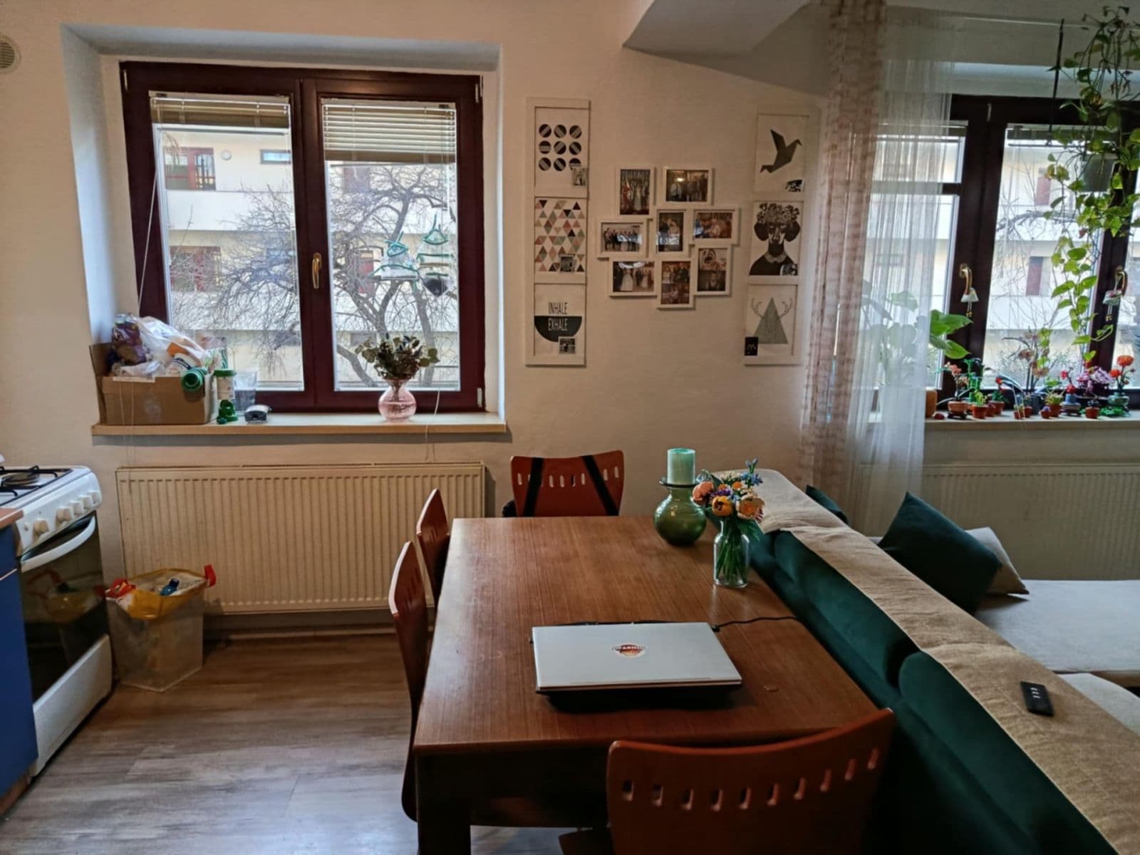 Pronájem bytu 1+kk 40 m², Dvorského, Brno, Jihomoravský kraj Pronájem bytu 1+kk 40 m², Dvorského, Brno, Jihomoravský kraj