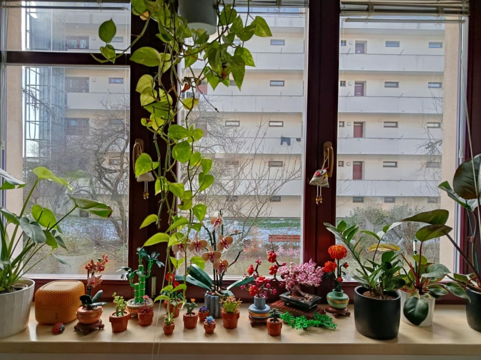 Pronájem bytu 1+kk 40 m², Dvorského, Brno, Jihomoravský kraj Pronájem bytu 1+kk 40 m², Dvorského, Brno, Jihomoravský kraj