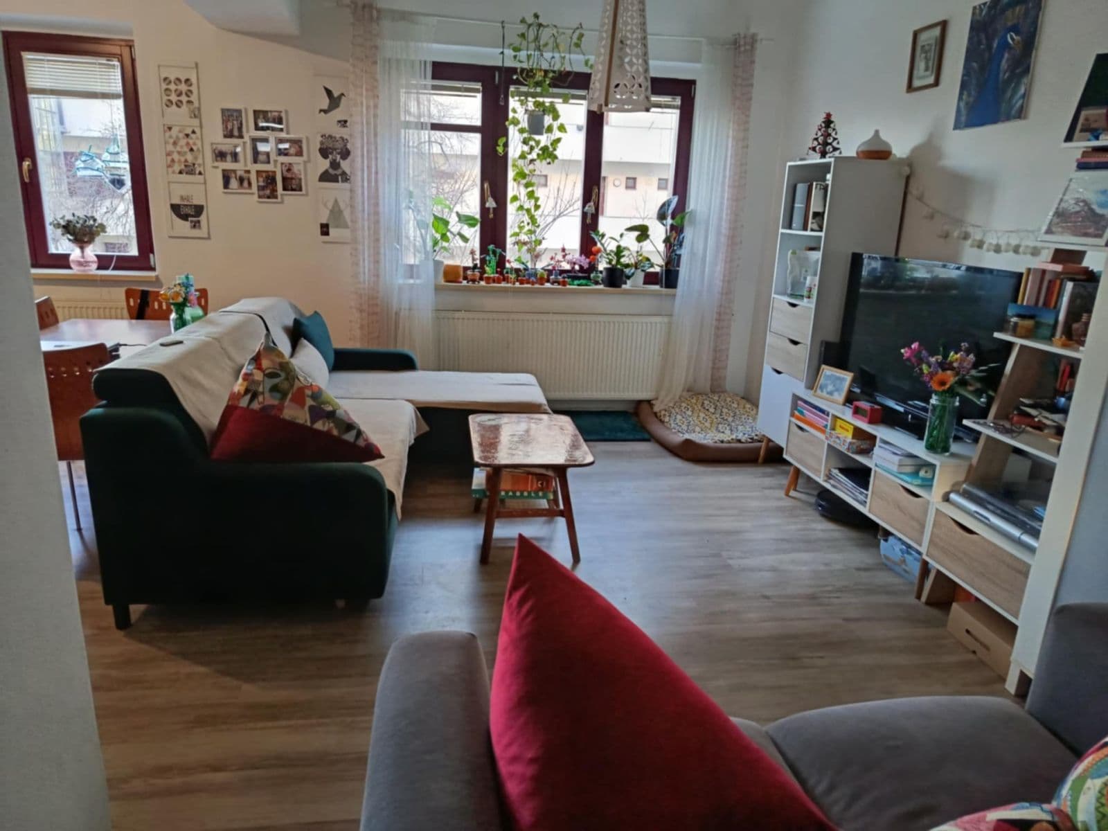 Pronájem bytu 1+kk 40 m², Dvorského, Brno, Jihomoravský kraj Pronájem bytu 1+kk 40 m², Dvorského, Brno, Jihomoravský kraj