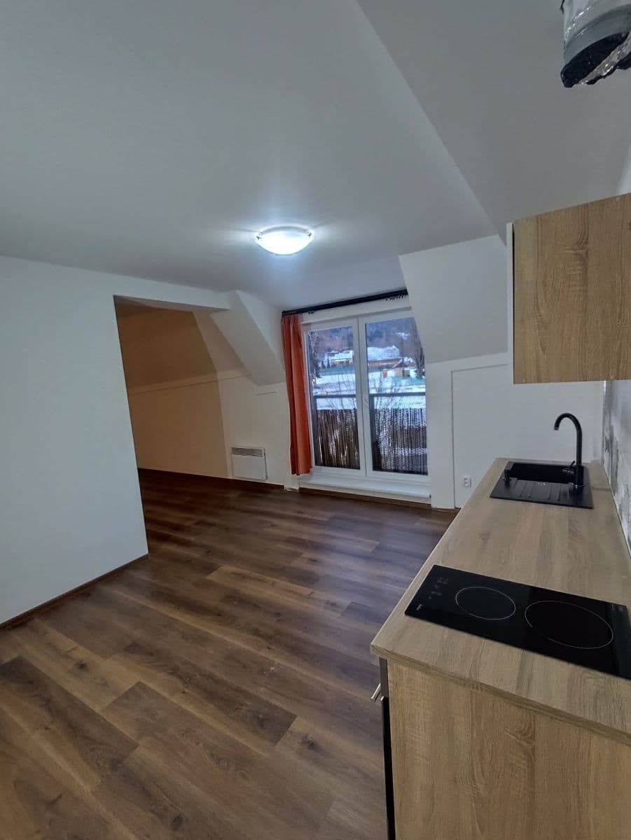 Prodej bytu 1+kk 41 m², Deštné v Orlických horách, Královéhradecký kraj Prodej bytu 1+kk 41 m², Deštné v Orlických horách, Královéhradecký kraj