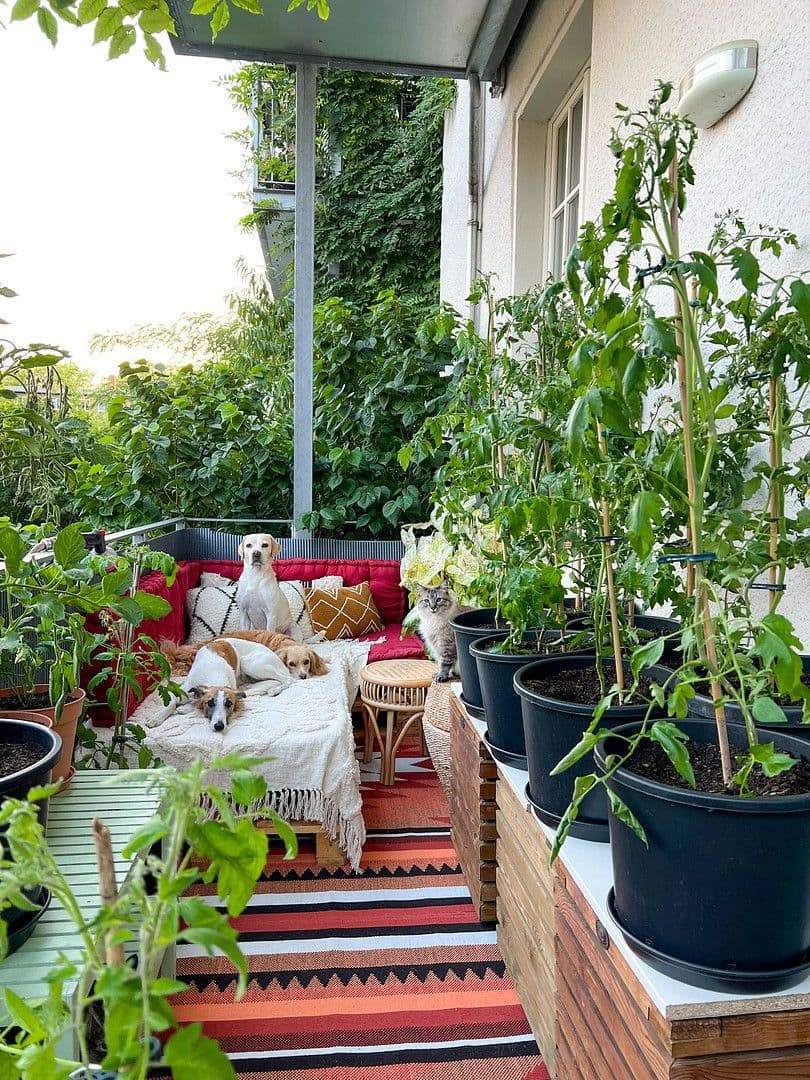 Prodej bytu 4+1 110 m², Hohenzollernring 18c, Berlin, Berlín Prodej bytu 4+1 110 m², Hohenzollernring 18c, Berlin, Berlín