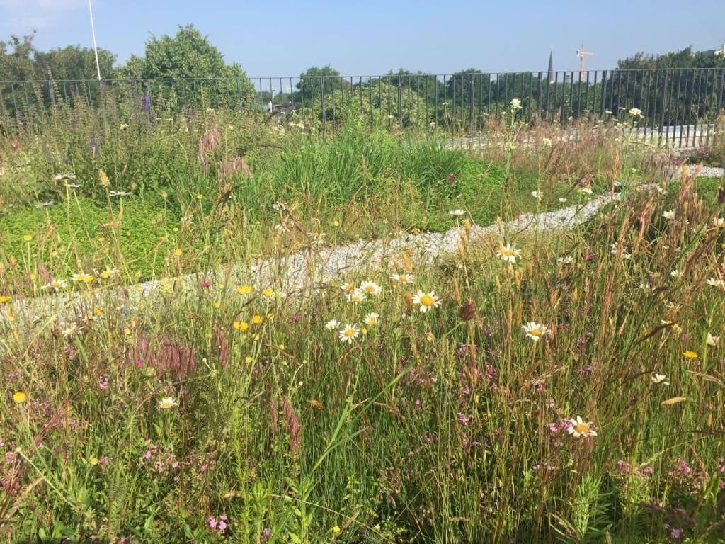 Prodej bytu 3+1 64 m², München, Bavorsko Prodej bytu 3+1 64 m², München, Bavorsko