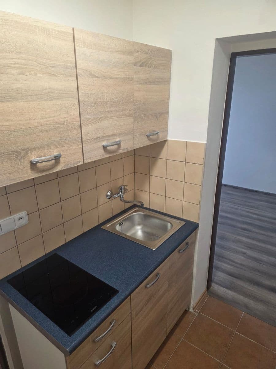 Pronájem bytu 1+1 18 m², Hlavní, Panenské Břežany, Středočeský kraj Pronájem bytu 1+1 18 m², Hlavní, Panenské Břežany, Středočeský kraj