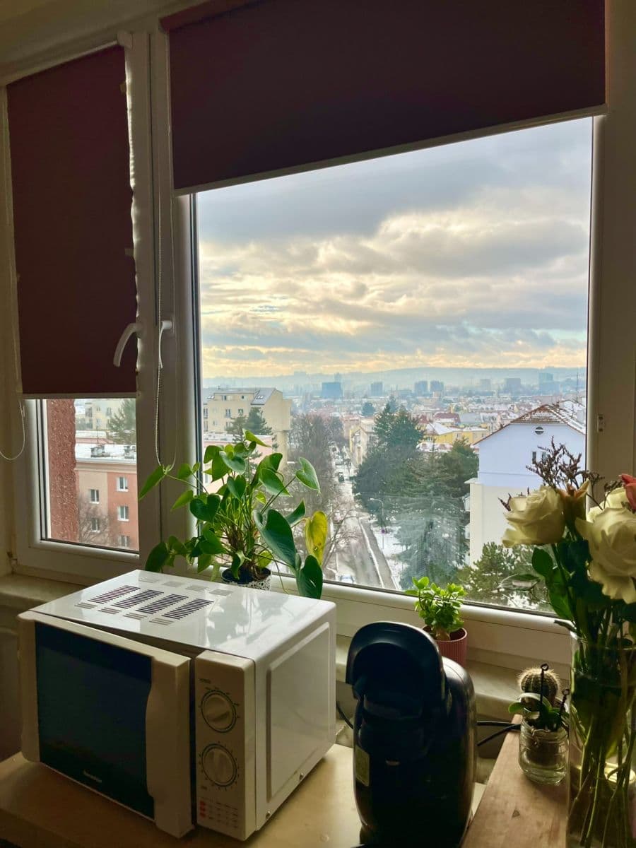 Prodej bytu 1+kk 20 m², Kneslova, Brno, Jihomoravský kraj Prodej bytu 1+kk 20 m², Kneslova, Brno, Jihomoravský kraj