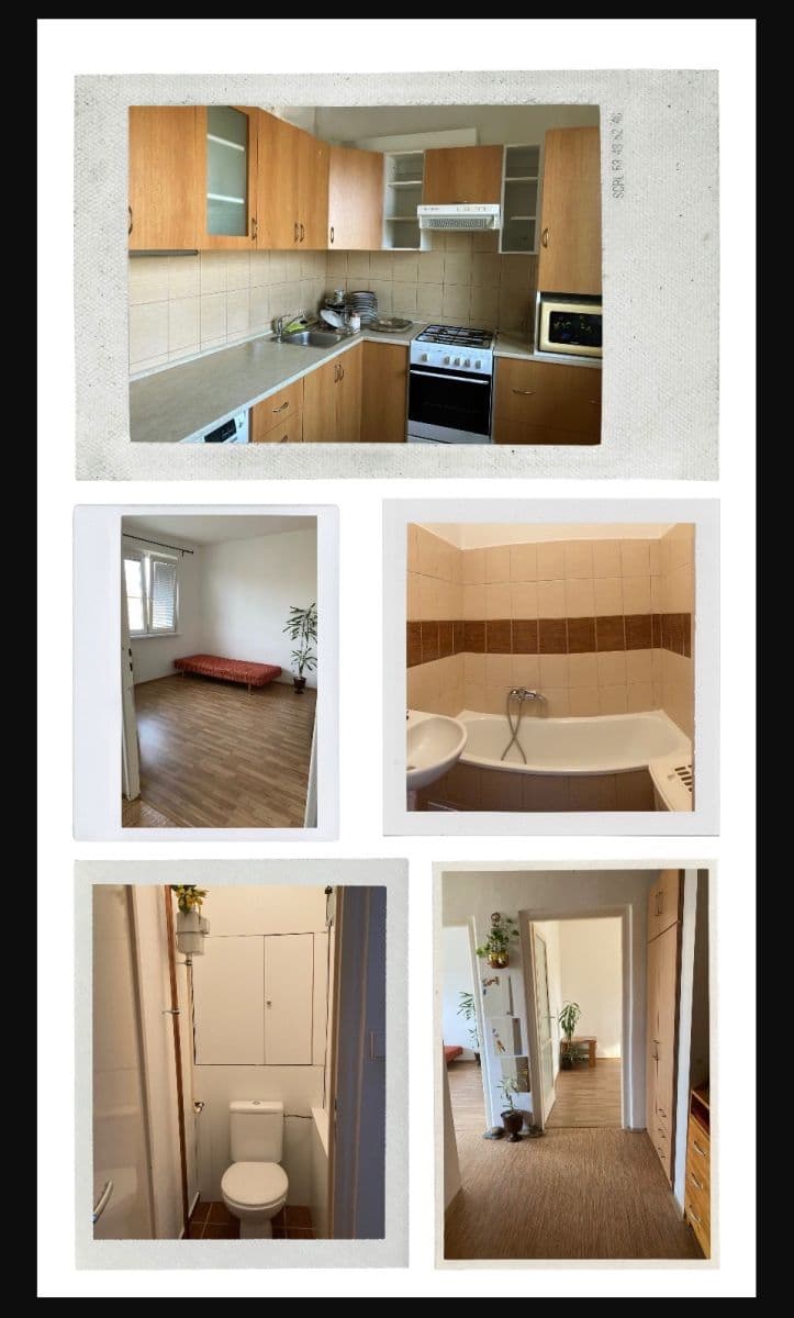 Pronájem bytu 2+1 54 m², Žerotínov, Zábřeh, Olomoucký kraj Pronájem bytu 2+1 54 m², Žerotínov, Zábřeh, Olomoucký kraj