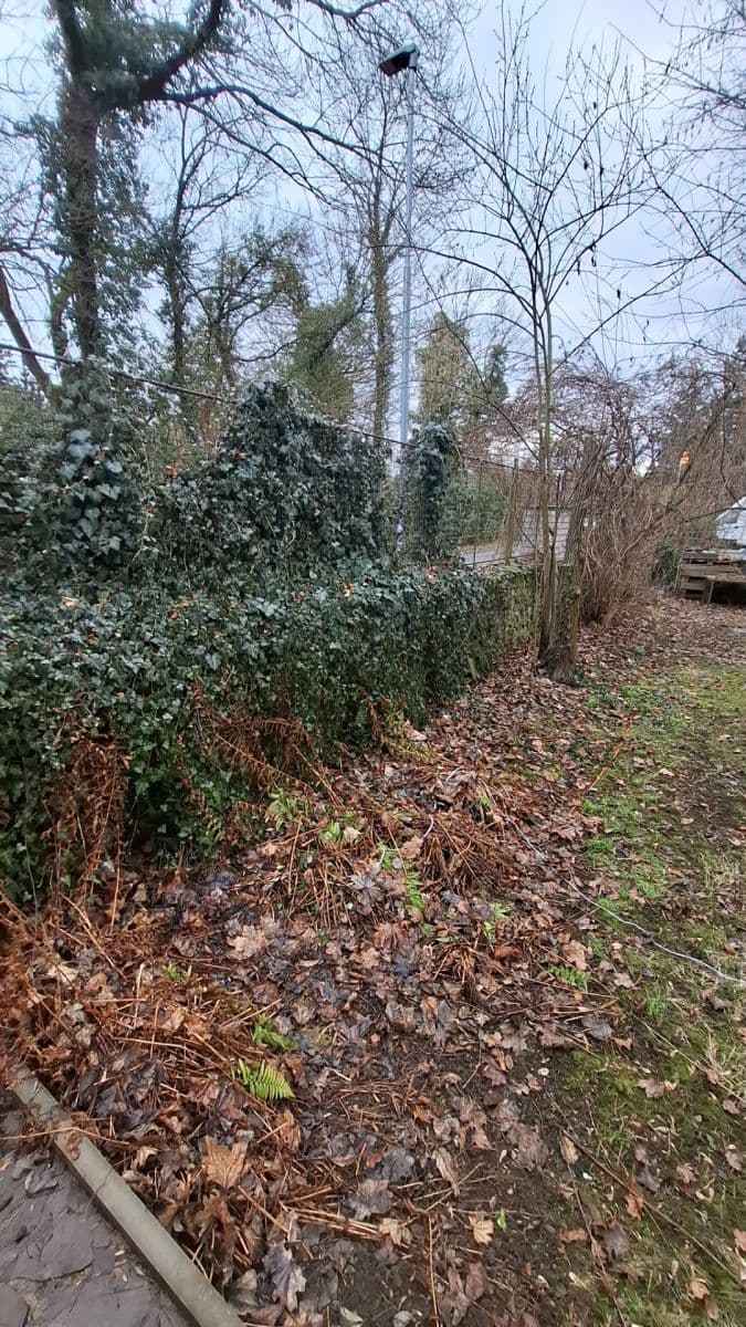 Prodej pozemku 450 m², Vojkovice, Středočeský kraj Prodej pozemku 450 m², Vojkovice, Středočeský kraj