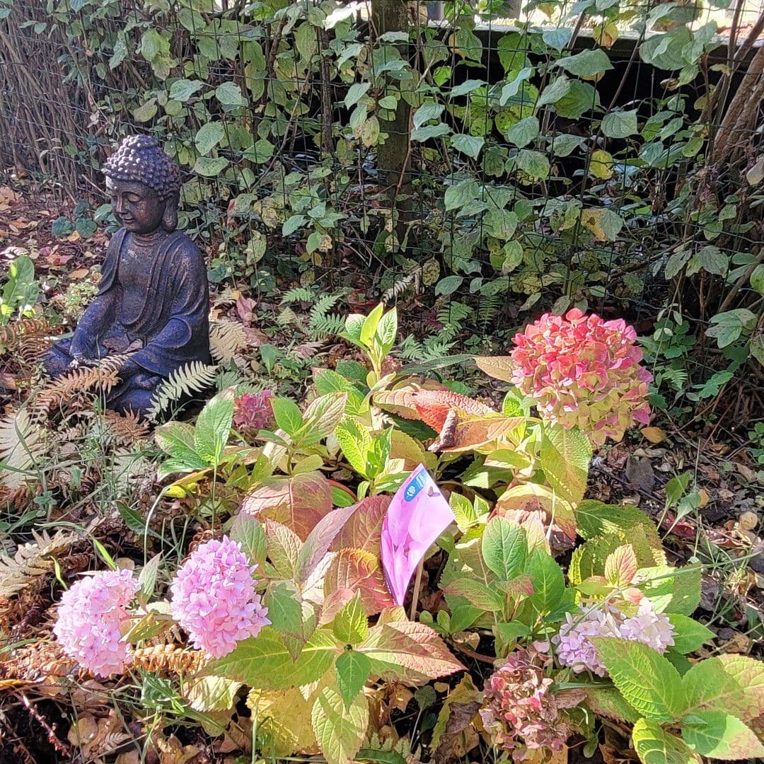 Prodej domu 162 m², pozemek 798 m², Berlin, Berlín Prodej domu 162 m², pozemek 798 m², Berlin, Berlín