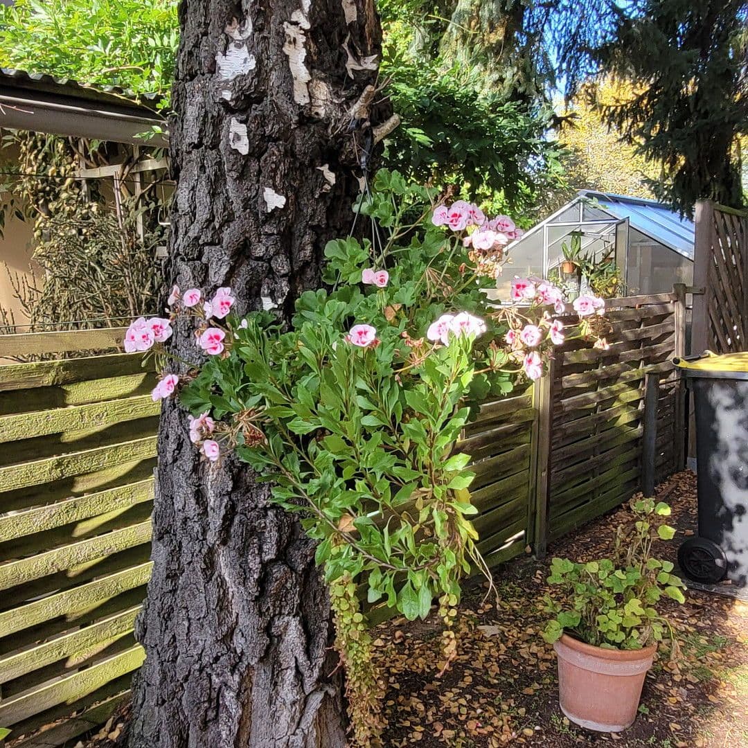 Prodej domu 162 m², pozemek 798 m², Berlin, Berlín Prodej domu 162 m², pozemek 798 m², Berlin, Berlín