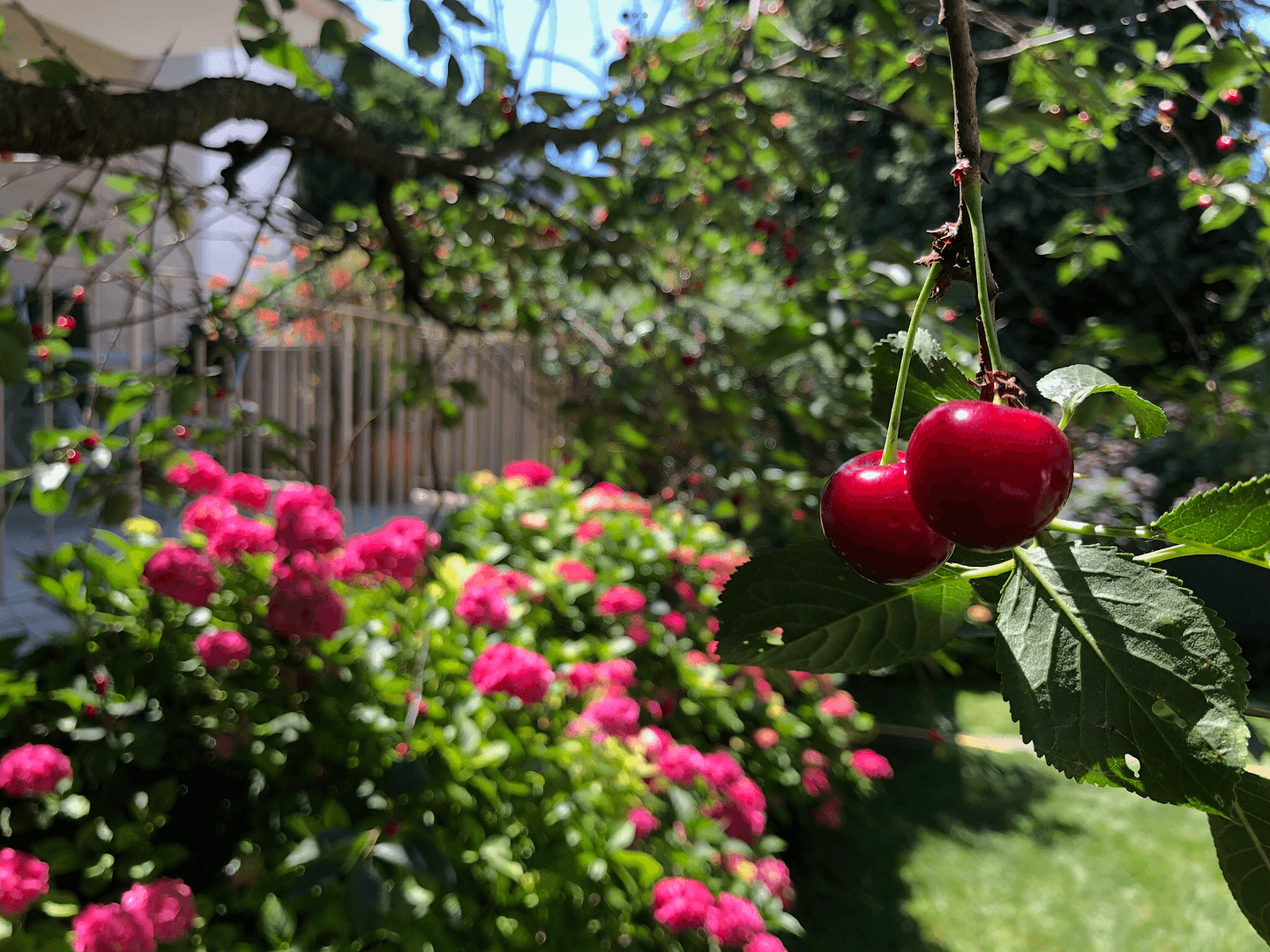 Prodej domu 320 m², pozemek 694 m², Frankfurt, Hessen Prodej domu 320 m², pozemek 694 m², Frankfurt, Hessen