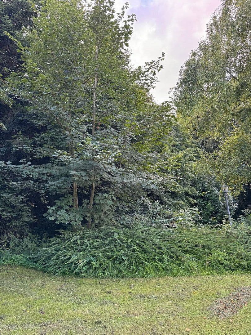 Prodej pozemku 1.800 m², Kötz, Bavorsko Prodej pozemku 1.800 m², Kötz, Bavorsko