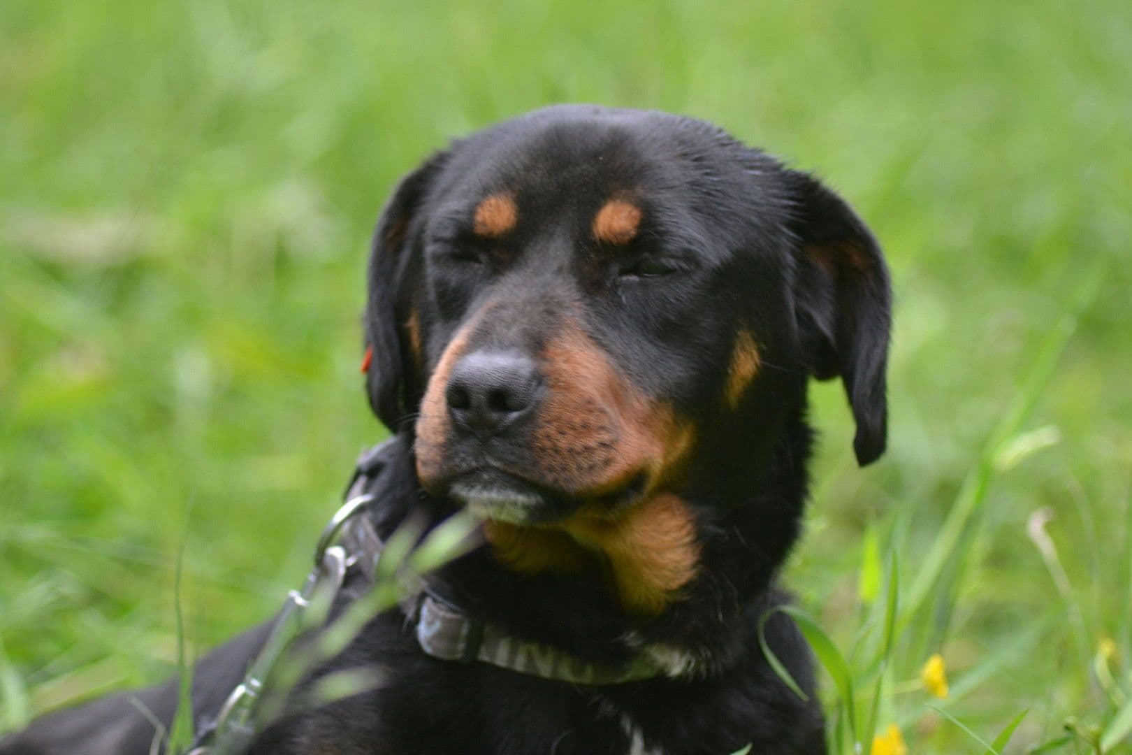 Pronájem bytu 3+1 99 m², Kochel am See, Bavorsko Pronájem bytu 3+1 99 m², Kochel am See, Bavorsko