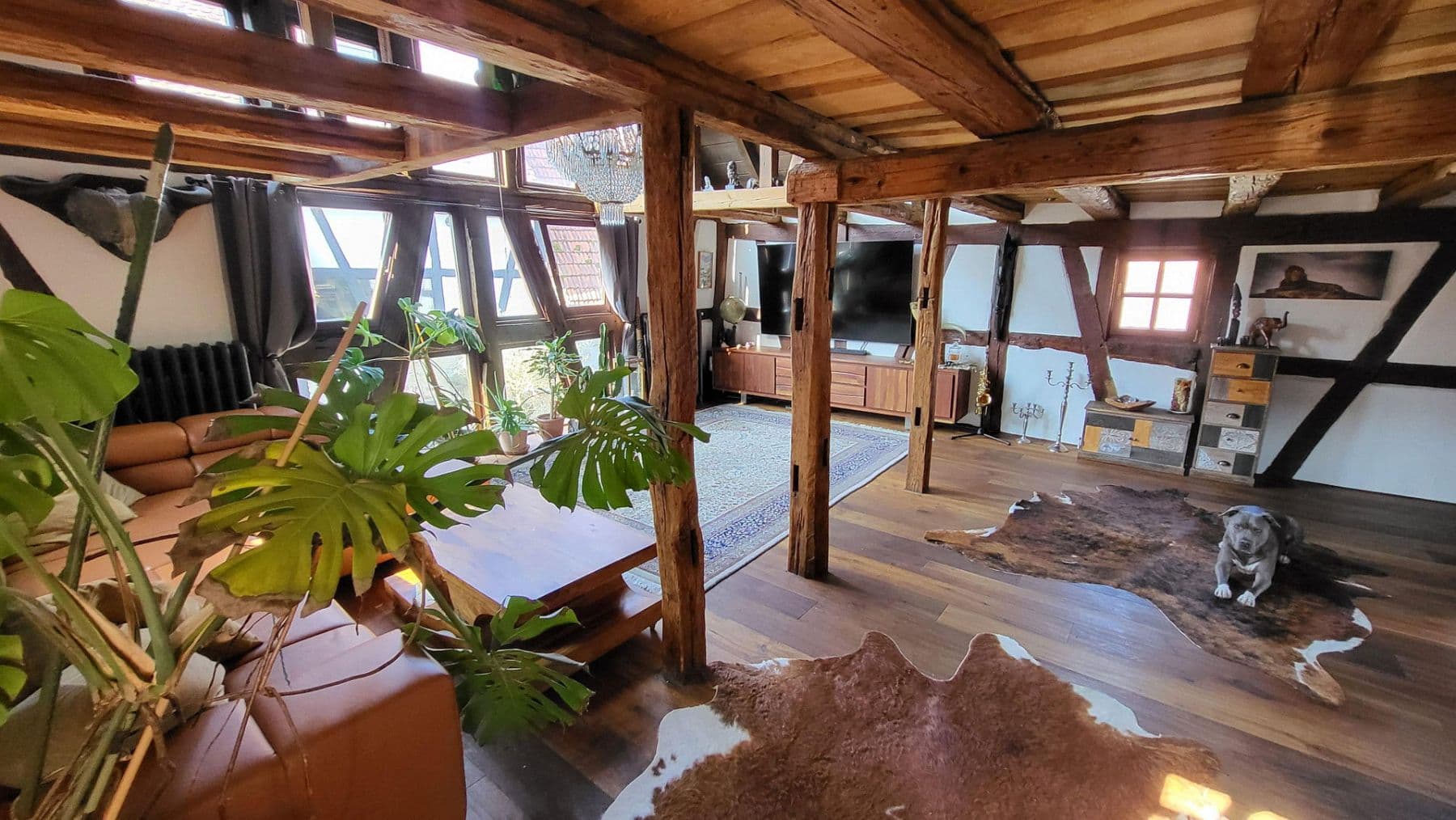 Prodej domu 280 m², pozemek 379 m², Rodenbach, Hessen Prodej domu 280 m², pozemek 379 m², Rodenbach, Hessen