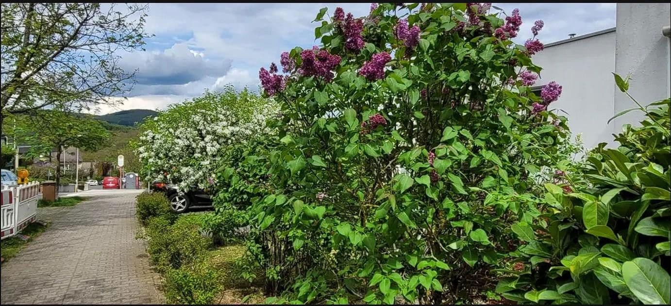 Pronájem bytu 3+kk 93 m², Waldallee 7.42, Eppstein, Hessen Pronájem bytu 3+kk 93 m², Waldallee 7.42, Eppstein, Hessen