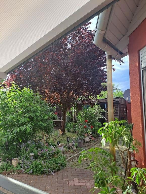 Prodej domu 117 m², pozemek 600 m², Vetschau/Spreewald, Braniborsko Prodej domu 117 m², pozemek 600 m², Vetschau/Spreewald, Braniborsko