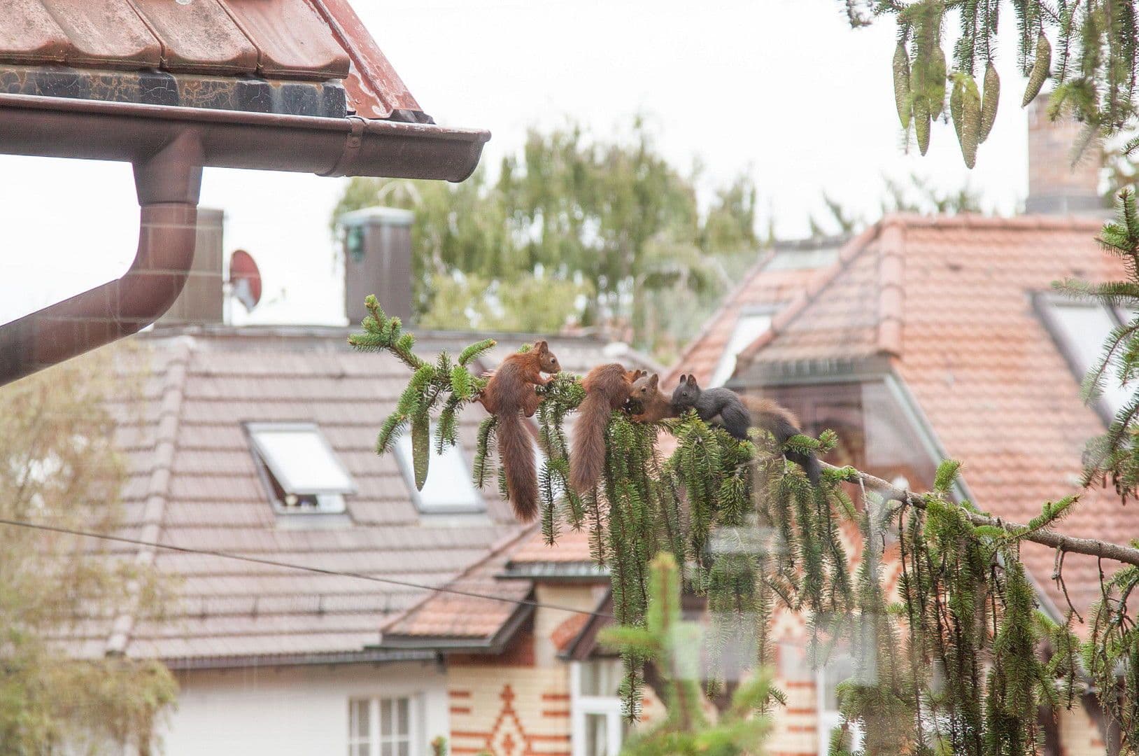 Pronájem kanceláře 19 m², Stuttgart, Bádensko-Württembersko Pronájem kanceláře 19 m², Stuttgart, Bádensko-Württembersko