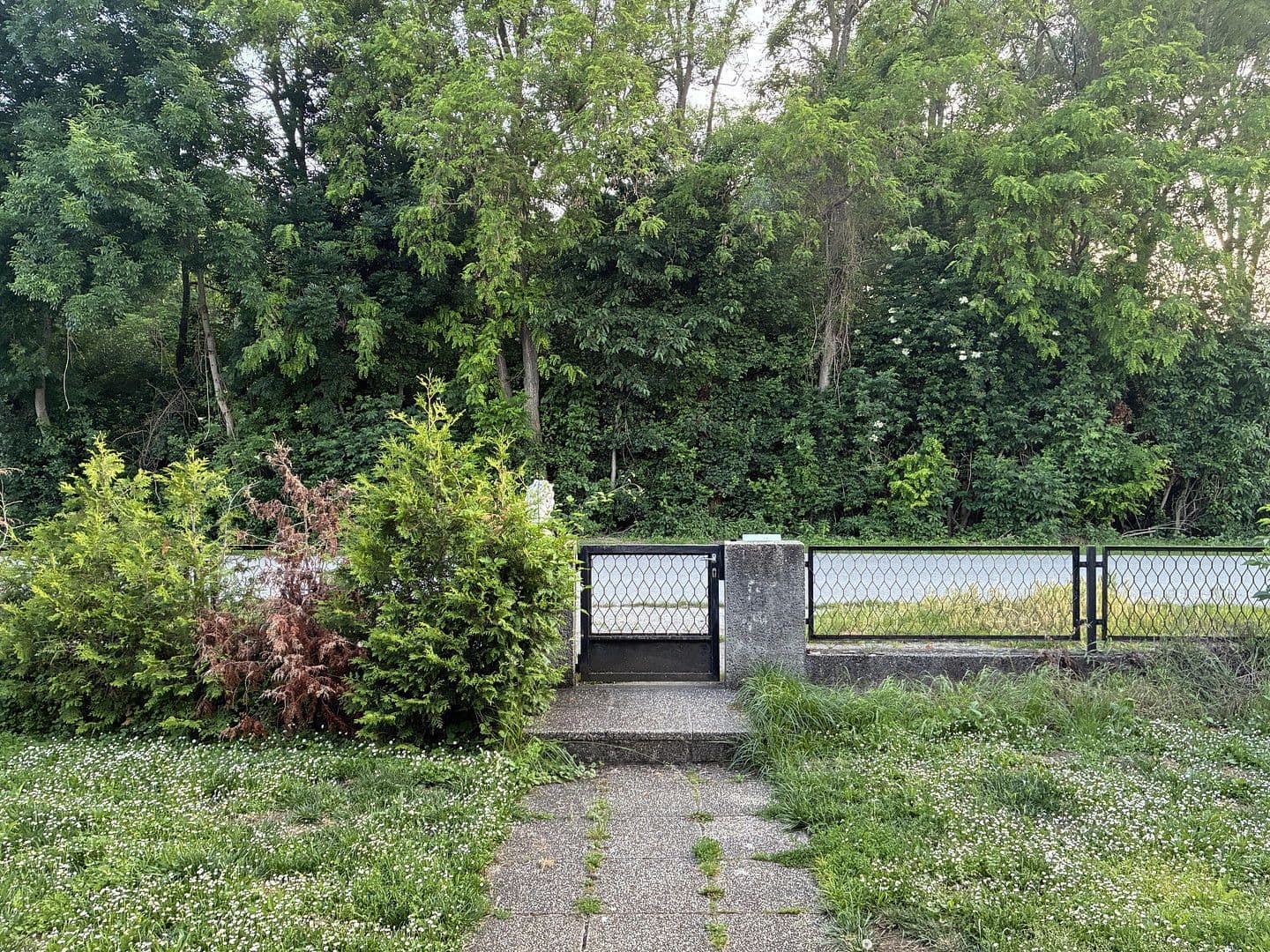 Prodej domu 130 m², pozemek 650 m², Pframa, Dolní Rakousko Prodej domu 130 m², pozemek 650 m², Pframa, Dolní Rakousko