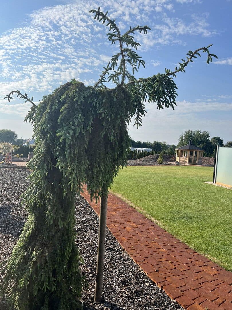 Prodej domu 230 m², pozemek 3.194 m², Weißkeißel – Wuskidź, Sasko Prodej domu 230 m², pozemek 3.194 m², Weißkeißel – Wuskidź, Sasko