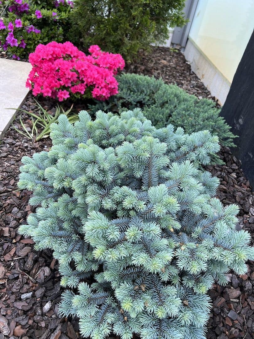 Prodej domu 230 m², pozemek 3.194 m², Weißkeißel – Wuskidź, Sasko Prodej domu 230 m², pozemek 3.194 m², Weißkeißel – Wuskidź, Sasko