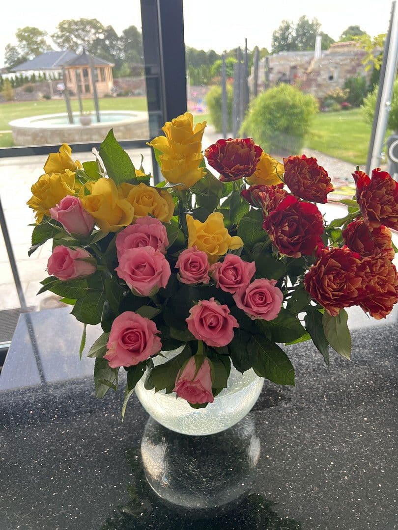 Prodej domu 230 m², pozemek 3.194 m², Weißkeißel – Wuskidź, Sasko Prodej domu 230 m², pozemek 3.194 m², Weißkeißel – Wuskidź, Sasko