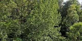 Pronájem bytu 2+kk 68 m², Im Asemwald, 22, Stuttgart - Plieningen, Bádensko-Württembersko Pronájem bytu 2+kk 68 m², Im Asemwald, 22, Stuttgart - Plieningen, Bádensko-Württembersko