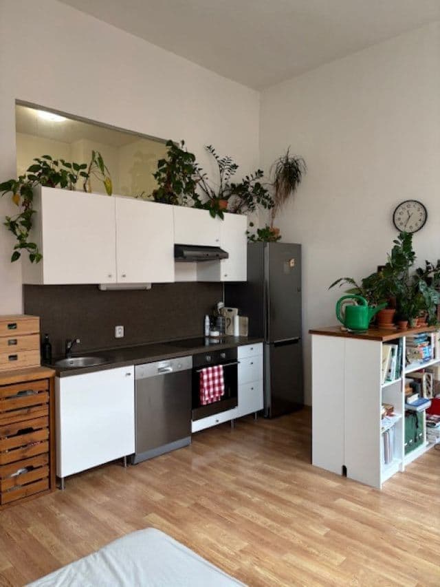 Pronájem bytu 1+kk 31 m², Bartošova, Brno, Jihomoravský kraj Pronájem bytu 1+kk 31 m², Bartošova, Brno, Jihomoravský kraj