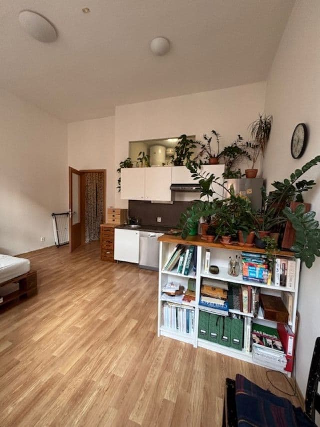 Pronájem bytu 1+kk 31 m², Bartošova, Brno, Jihomoravský kraj Pronájem bytu 1+kk 31 m², Bartošova, Brno, Jihomoravský kraj