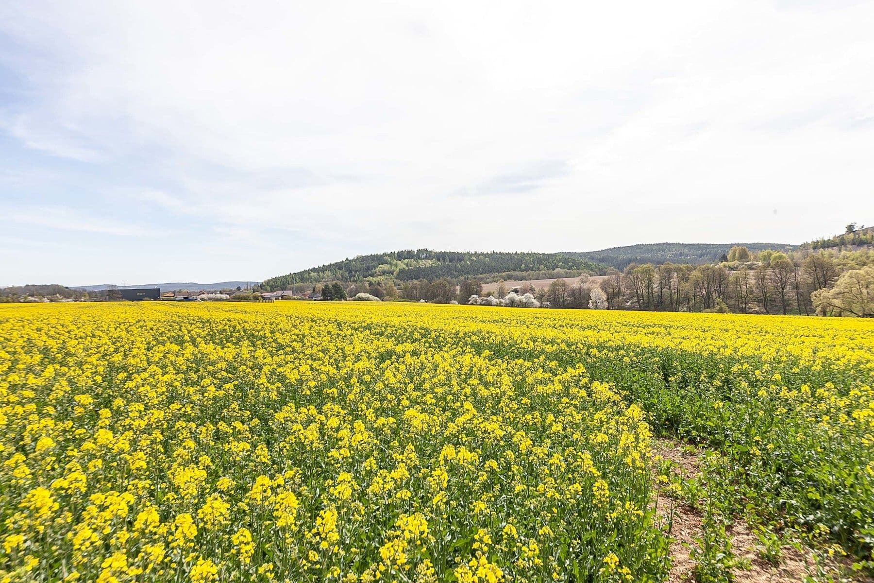 Prodej pozemku 6.839 m², Drásov, Jihomoravský kraj Prodej pozemku 6.839 m², Drásov, Jihomoravský kraj