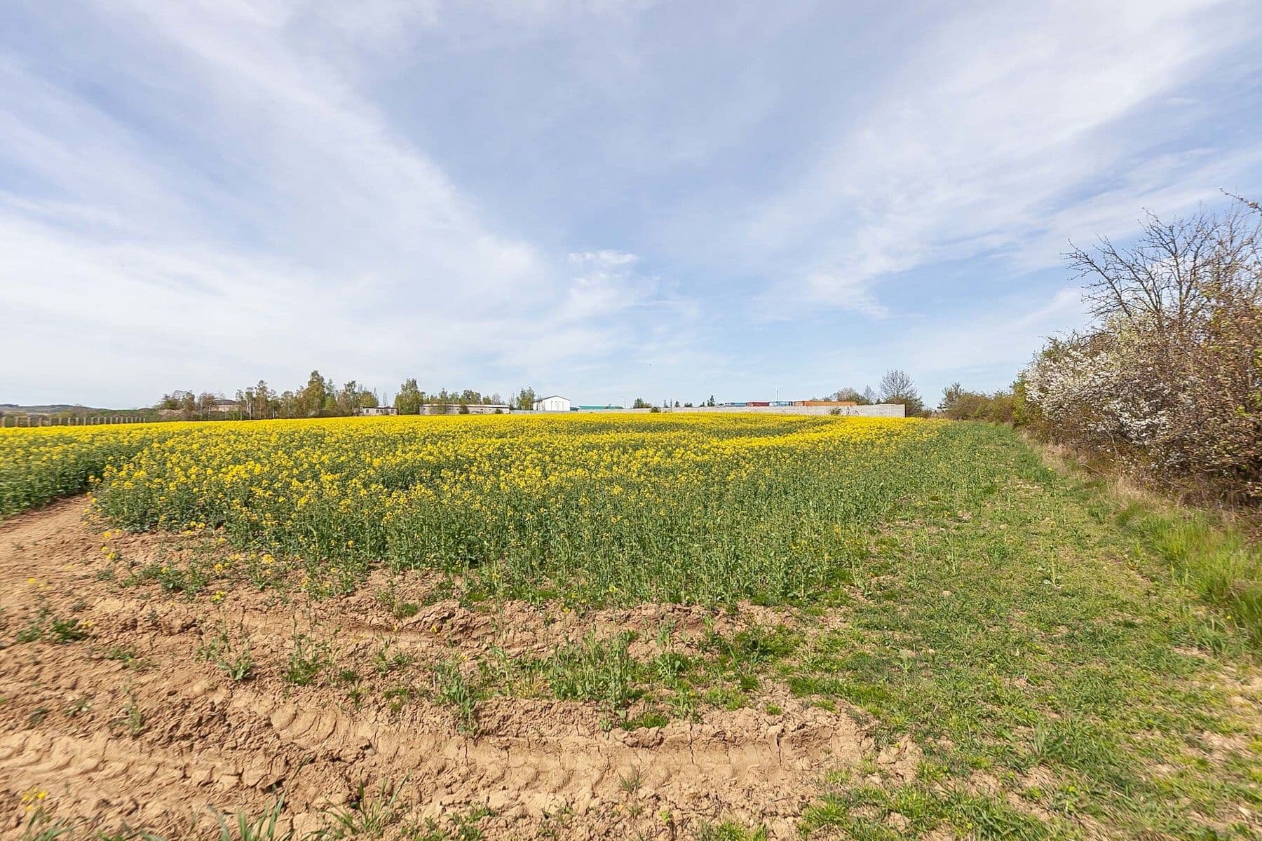 Prodej pozemku 6.839 m², Drásov, Jihomoravský kraj Prodej pozemku 6.839 m², Drásov, Jihomoravský kraj