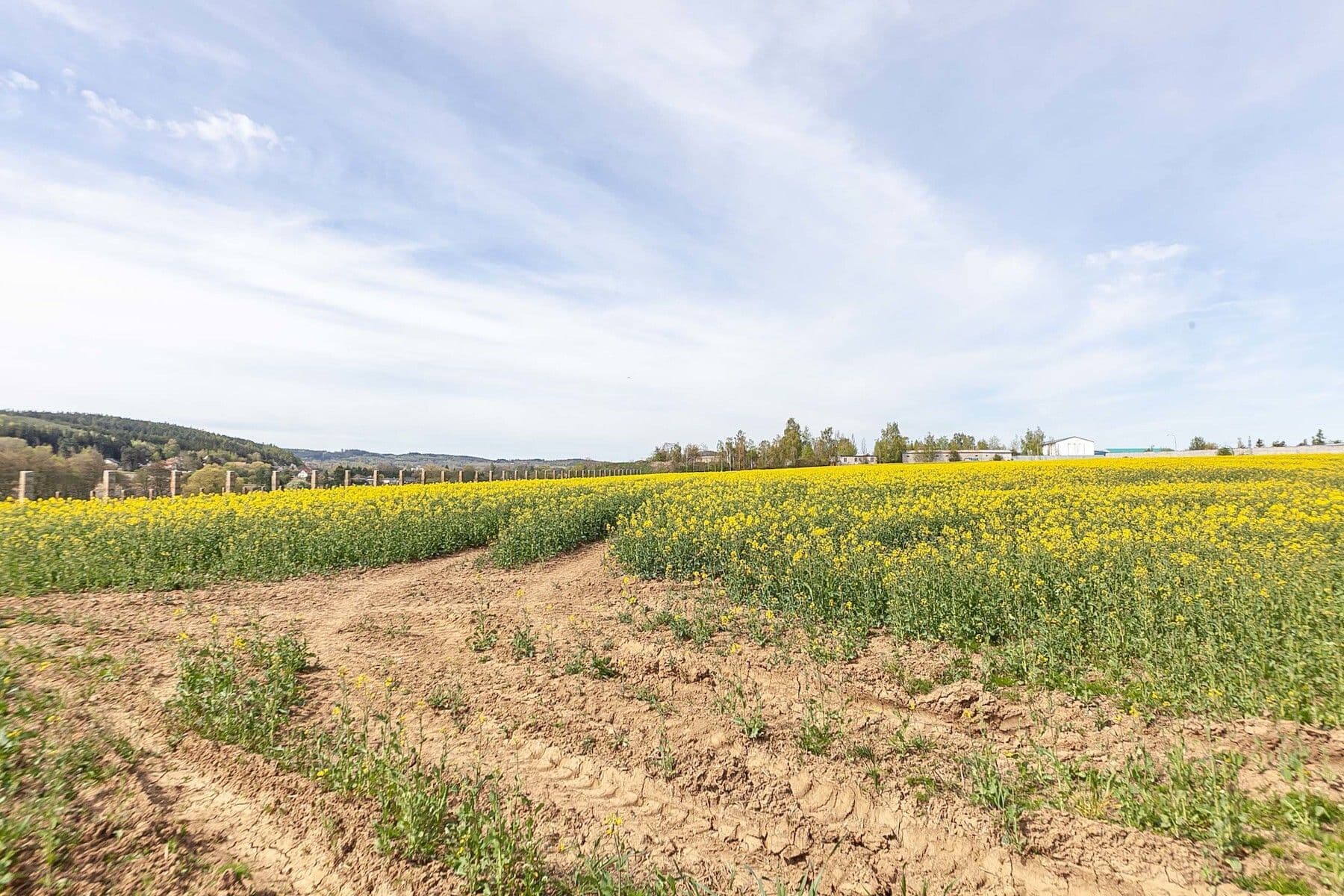 Prodej pozemku 6.839 m², Drásov, Jihomoravský kraj Prodej pozemku 6.839 m², Drásov, Jihomoravský kraj