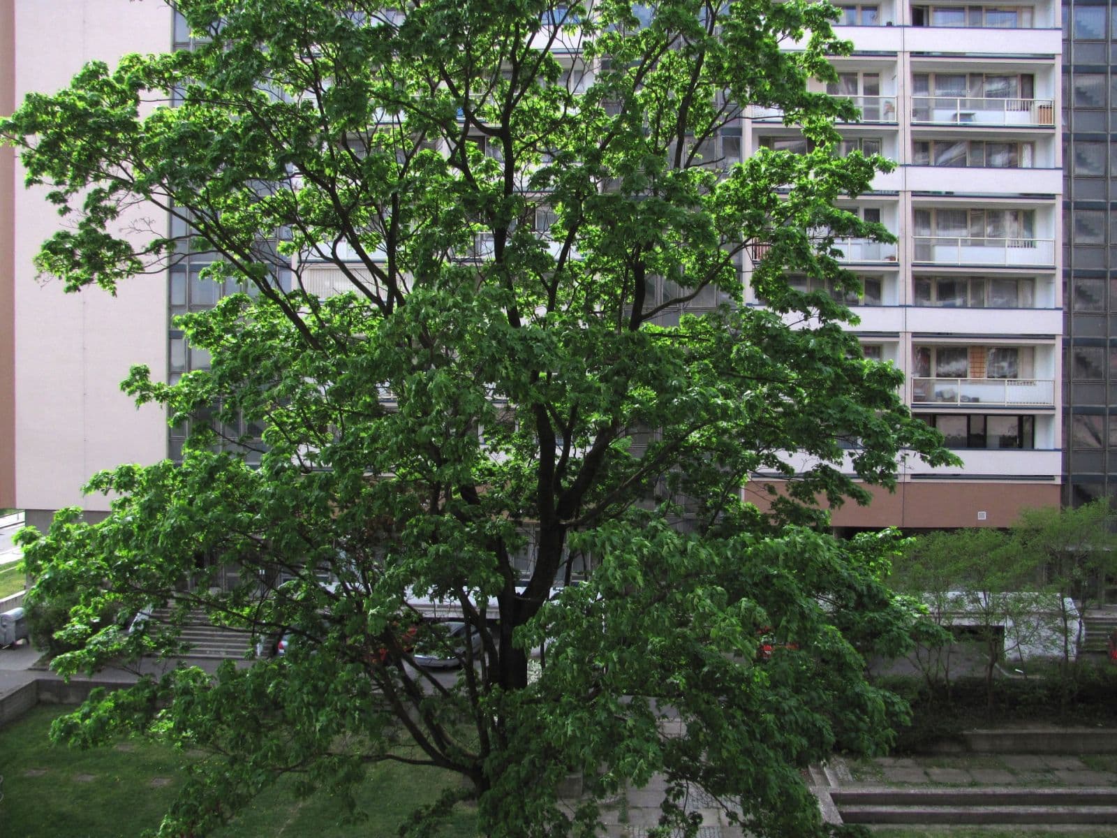 Pronájem bytu 2+kk 36 m², Tádžická, Praha, Praha Pronájem bytu 2+kk 36 m², Tádžická, Praha, Praha