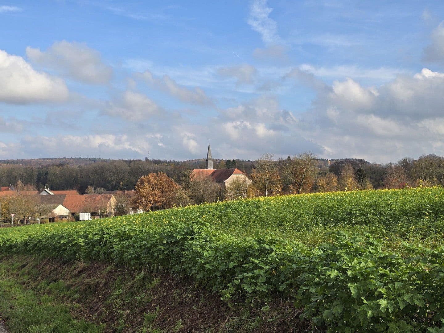 Prodej domu 187 m², pozemek 596 m², Lobbach, Bádensko-Württembersko Prodej domu 187 m², pozemek 596 m², Lobbach, Bádensko-Württembersko