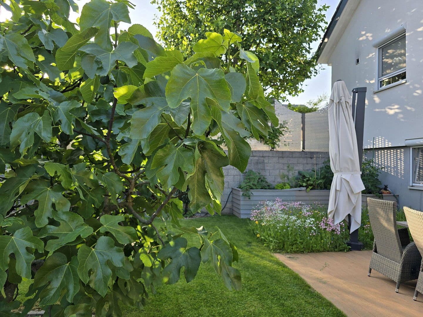 Prodej domu 187 m², pozemek 596 m², Lobbach, Bádensko-Württembersko Prodej domu 187 m², pozemek 596 m², Lobbach, Bádensko-Württembersko