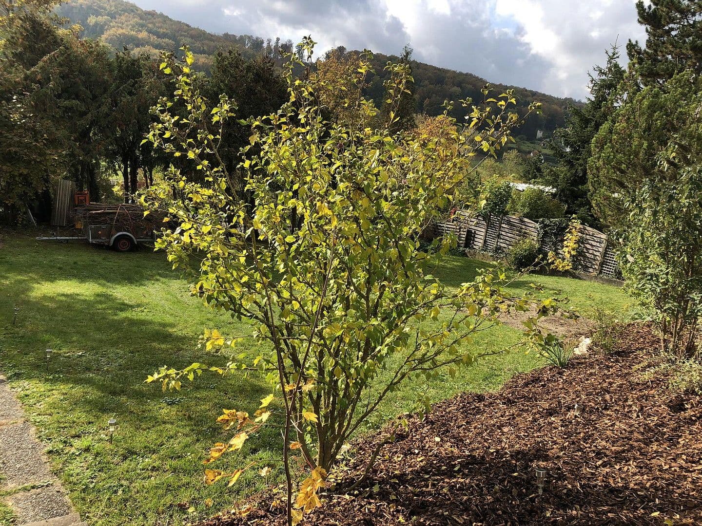 Prodej domu 297 m², pozemek 838 m², Blaustein, Bádensko-Württembersko Prodej domu 297 m², pozemek 838 m², Blaustein, Bádensko-Württembersko