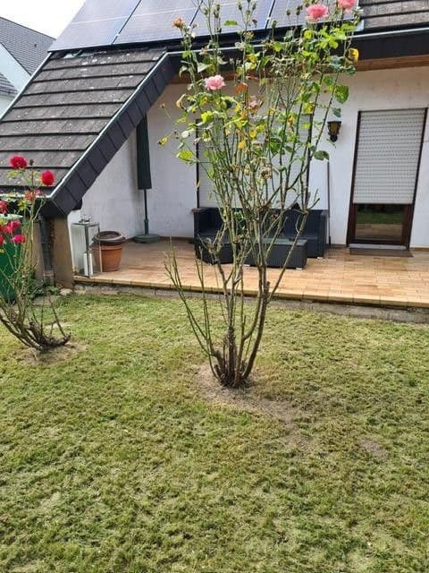 Pronájem bytu 3+1 100 m², Breisach am Rhein, Bádensko-Württembersko Pronájem bytu 3+1 100 m², Breisach am Rhein, Bádensko-Württembersko