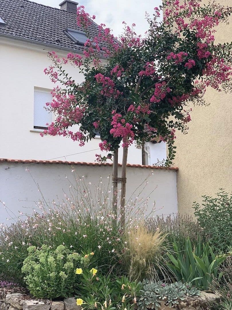 Prodej domu 211 m², pozemek 658 m², Alsheim, Porýní-Falc Prodej domu 211 m², pozemek 658 m², Alsheim, Porýní-Falc