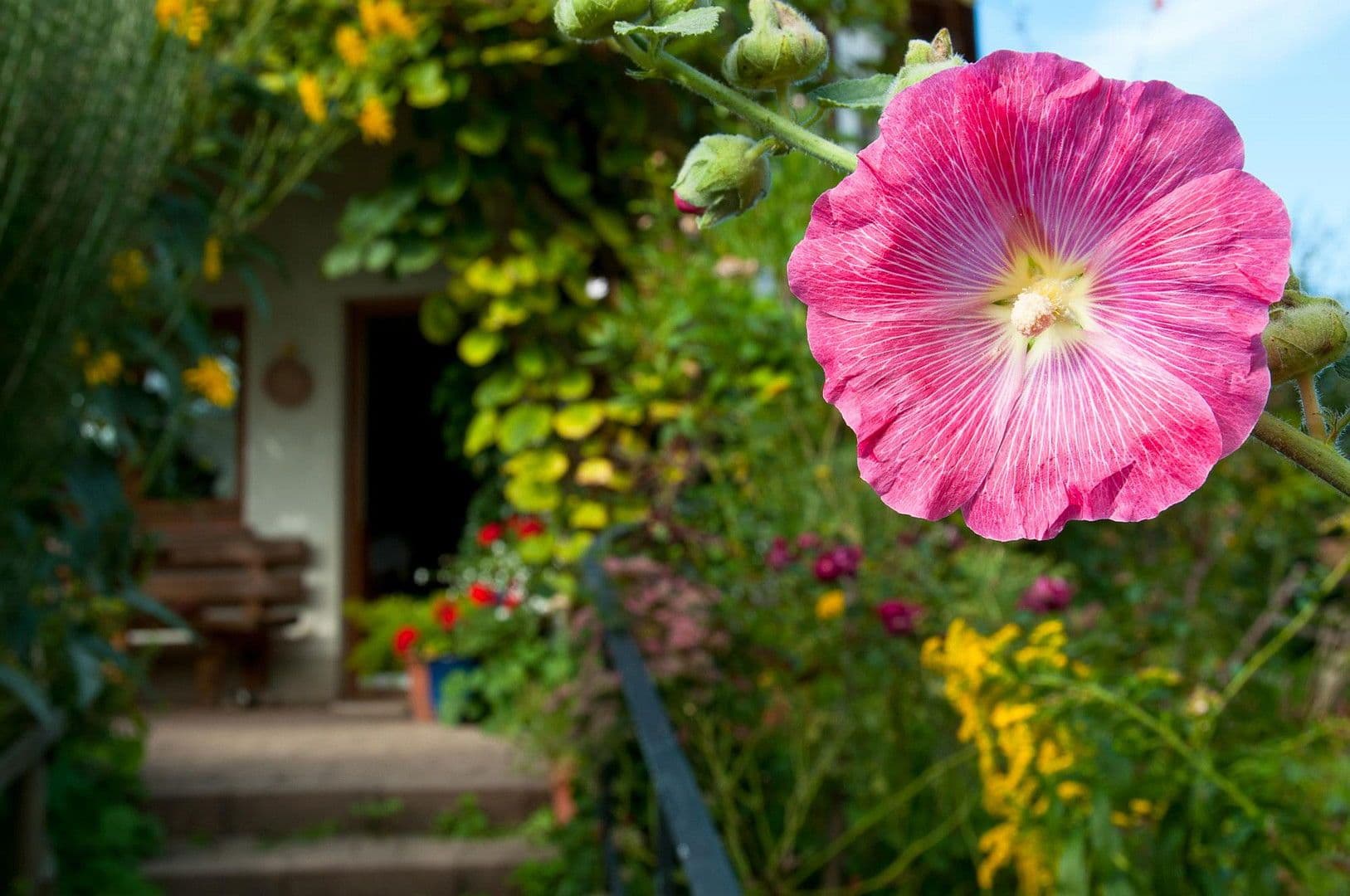 Prodej domu 296 m², pozemek 1.073 m², Freiburg, Bádensko-Württembersko Prodej domu 296 m², pozemek 1.073 m², Freiburg, Bádensko-Württembersko