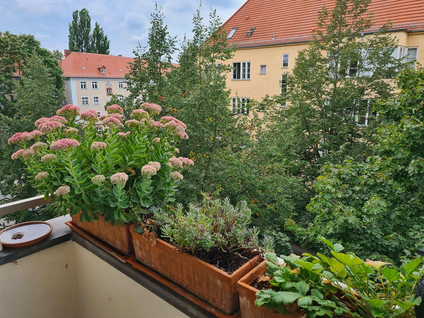 Prodej bytu 3+1 68 m², Vineta Str.52, Berlin-Pankow, Berlín Prodej bytu 3+1 68 m², Vineta Str.52, Berlin-Pankow, Berlín