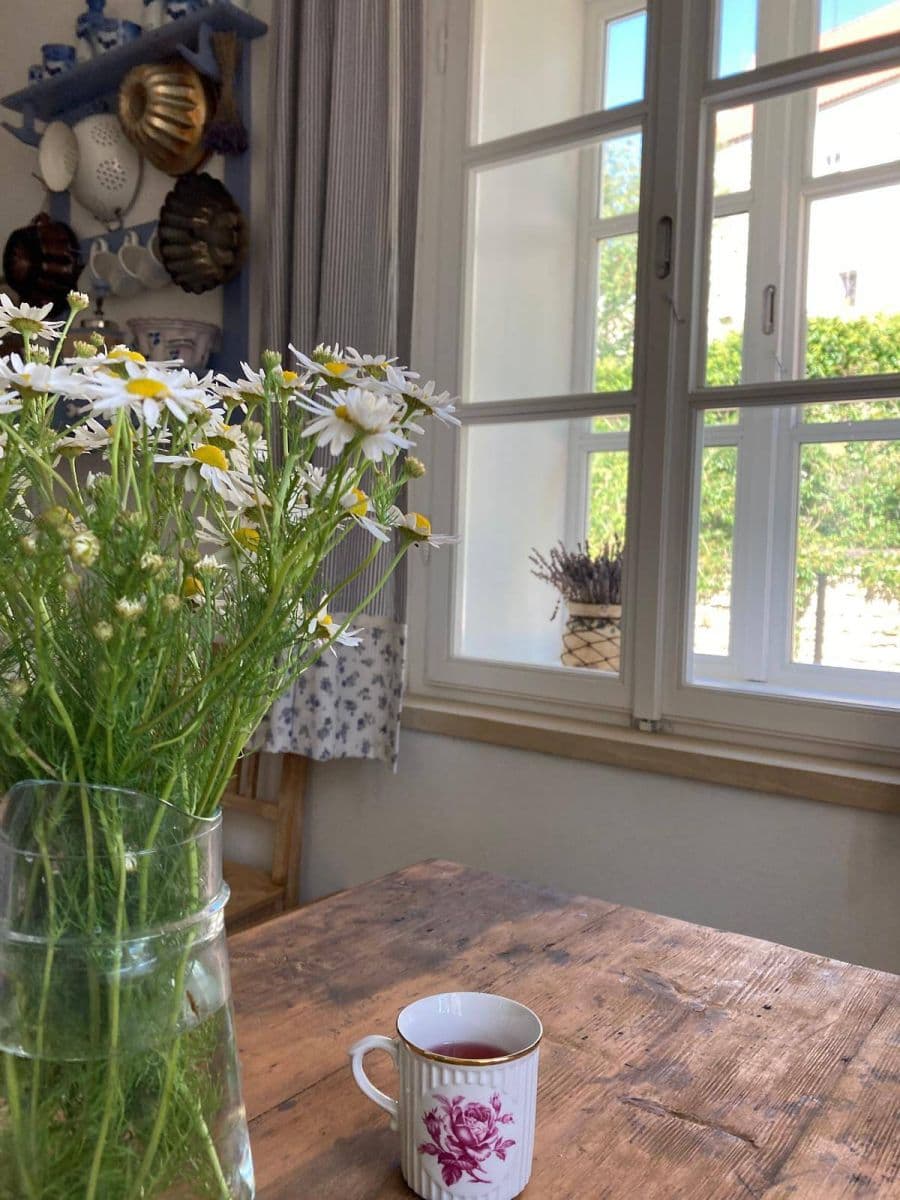 Pronájem chaty, chalupy, Luže, Pardubický kraj Pronájem chaty, chalupy, Luže, Pardubický kraj