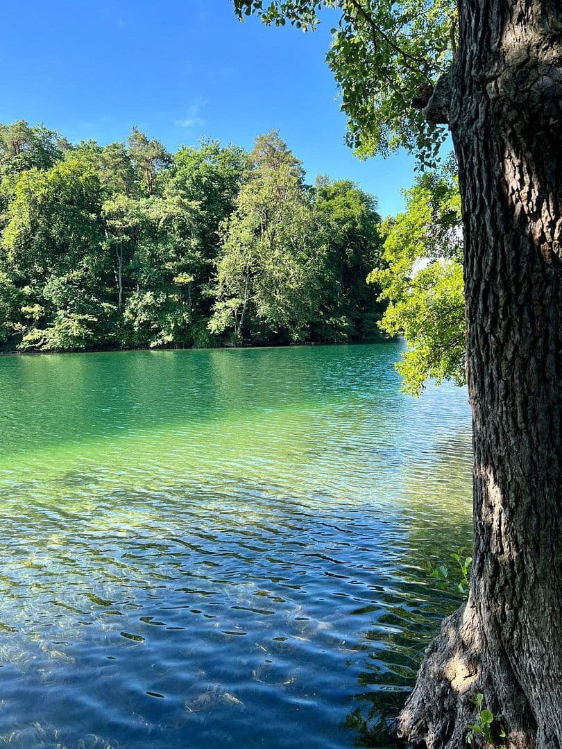 Prodej domu 90 m², pozemek 400 m², Feldberger Seenlandschaft, Mecklenburg-Vorpommern Prodej domu 90 m², pozemek 400 m², Feldberger Seenlandschaft, Mecklenburg-Vorpommern